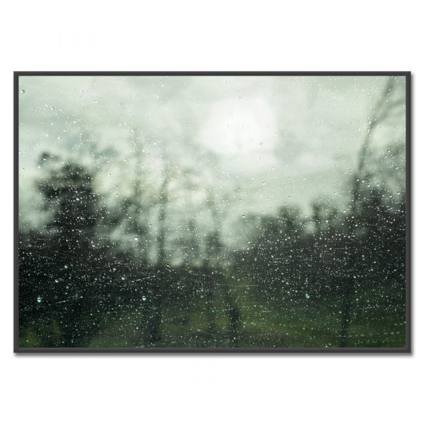 Drops On Glass
