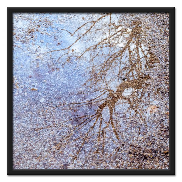 Mirrored Tree