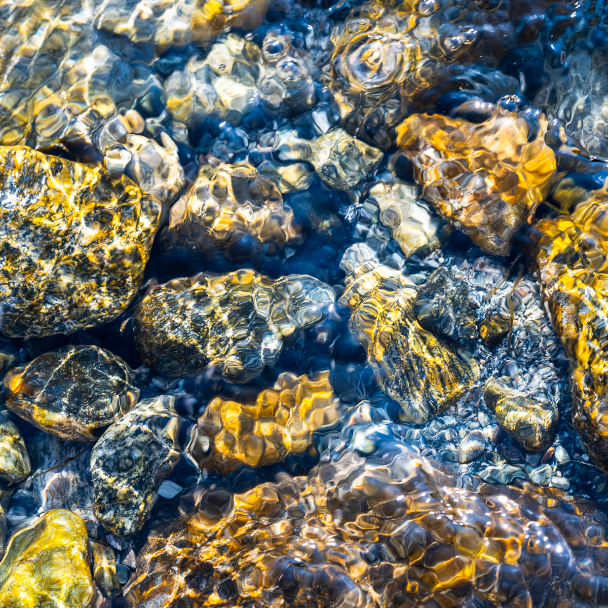 Shallow Water #1