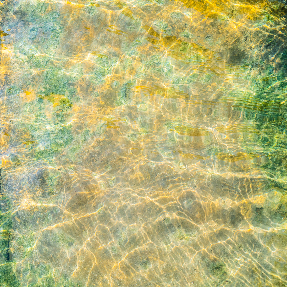 Shallow Water #3