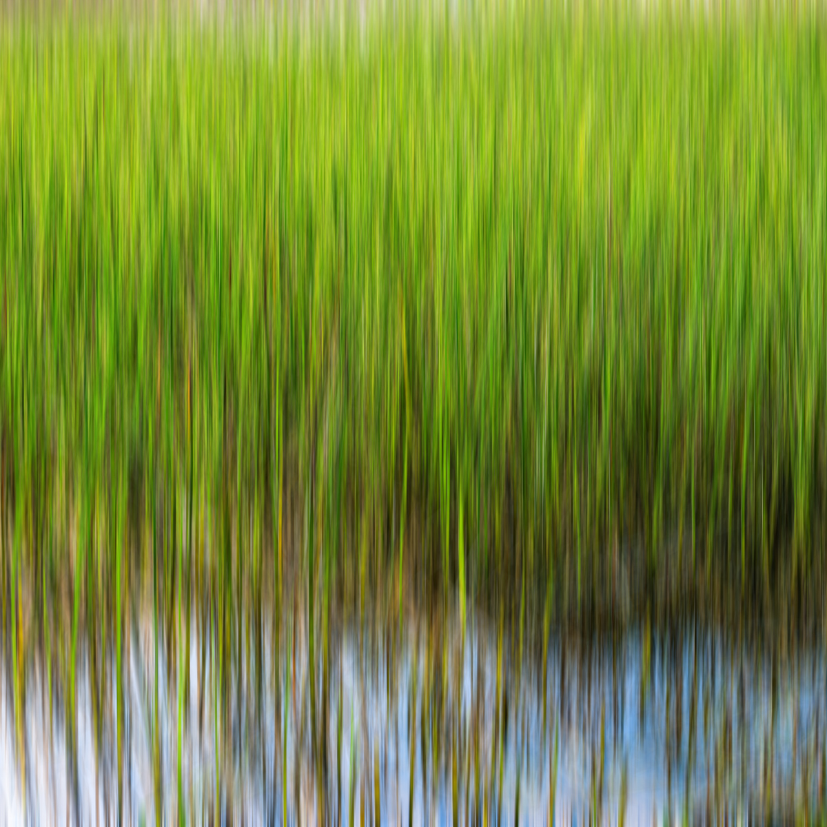Sweeping Reed