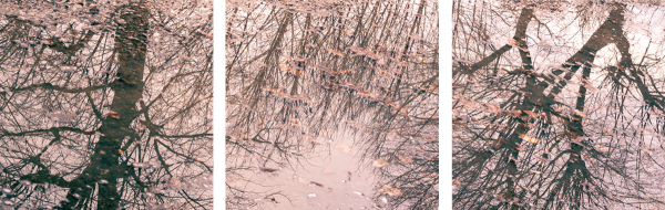 Mirrored Tree #2 (Dreiteilig)