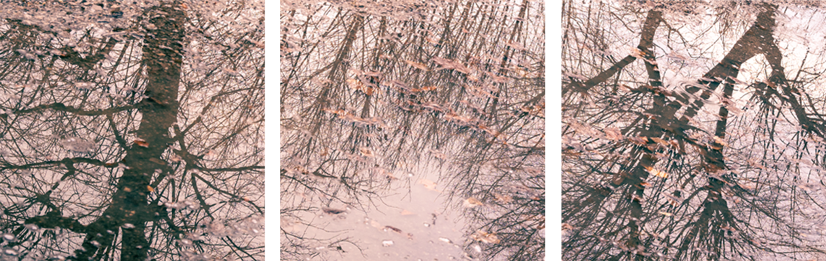 Mirrored Tree #2 (Dreiteilig)