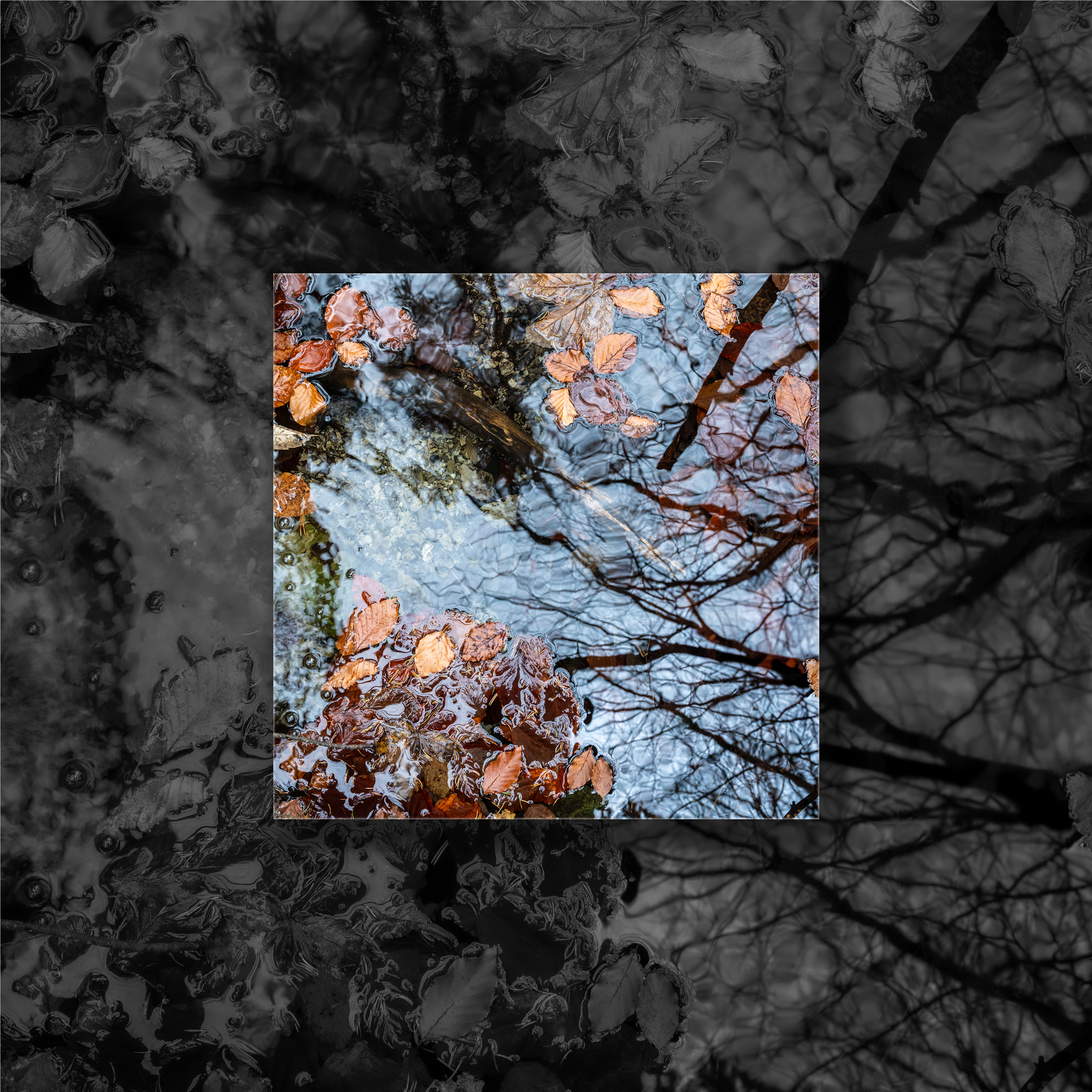 Autumn Leaves (Lowkey)