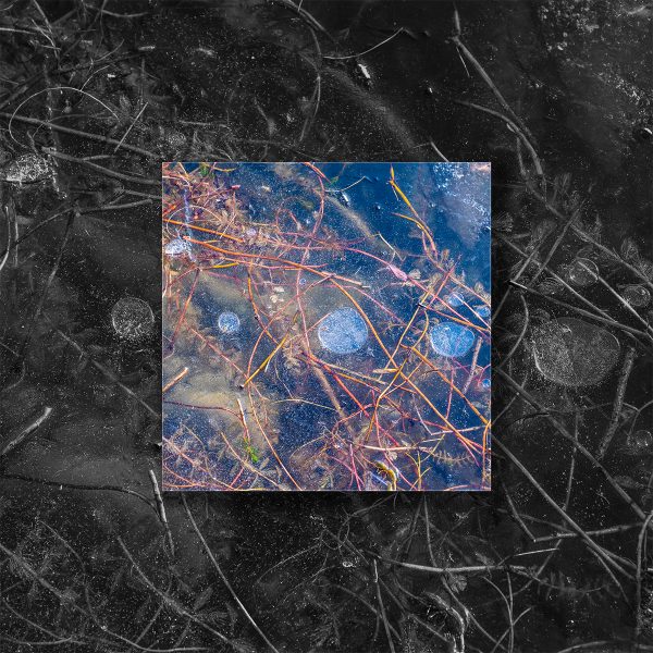 Frozen Bubbles (Lowkey)