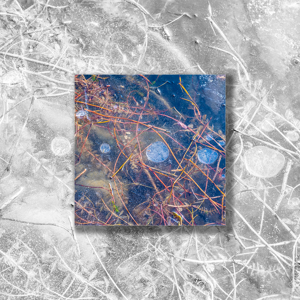 Frozen Bubbles (Highkey)