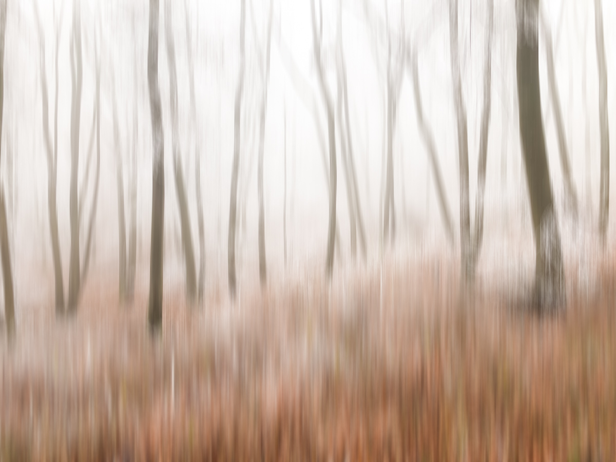 givre
