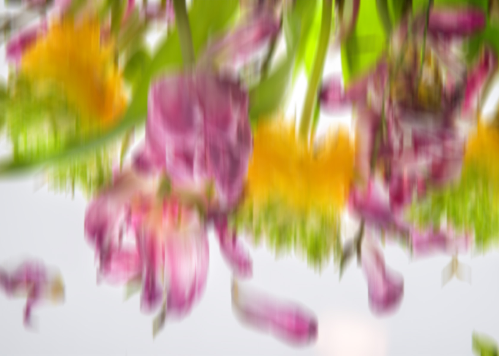 pluie de fleurs